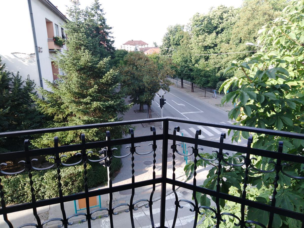 Veliki Park Βίλα Σάμπατς Εξωτερικό φωτογραφία